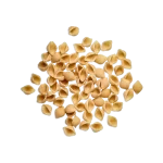 La Molisana Whole Wheat | Conchigliette Integrali No. 57 - Image 2